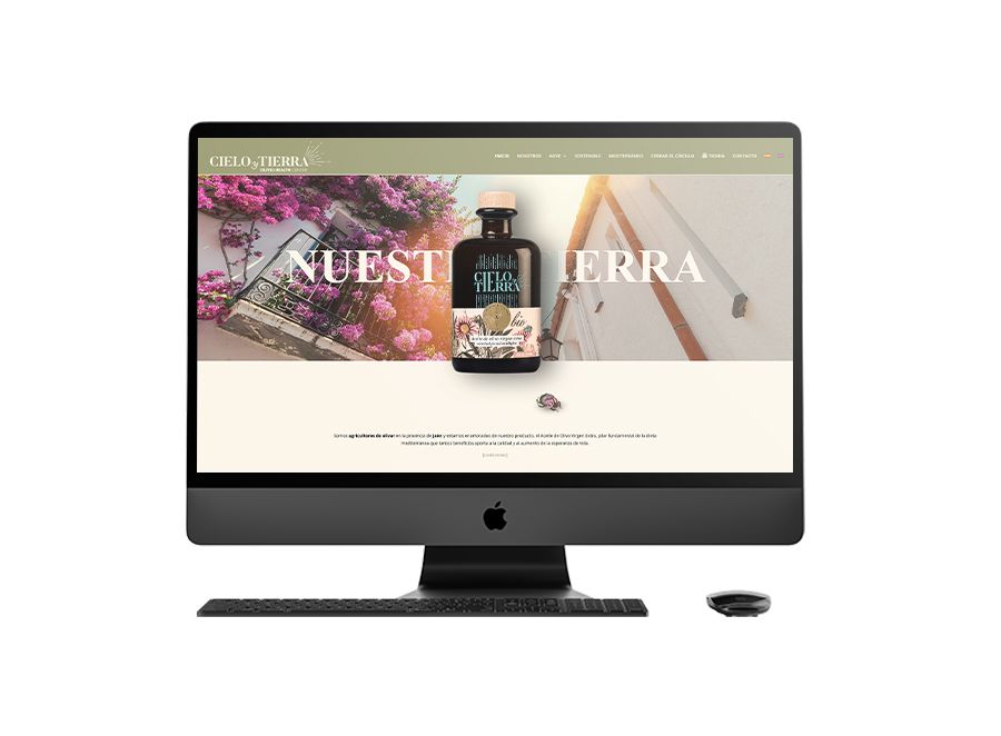 Diseño web corporativo para Cielo y Tierra